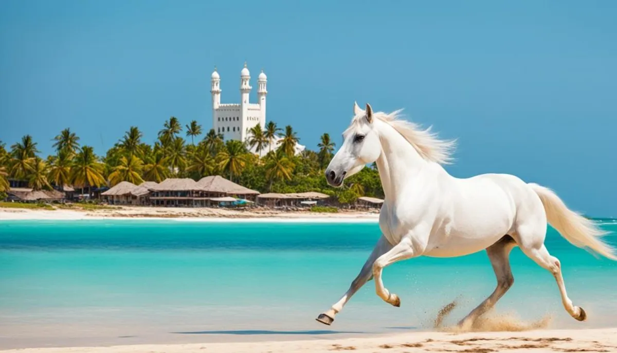 équitation zanzibar
